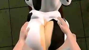 HuCow Experiment 02