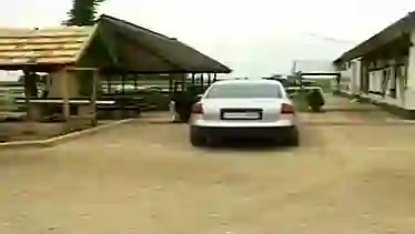 Outdoor fuck with mature cougar