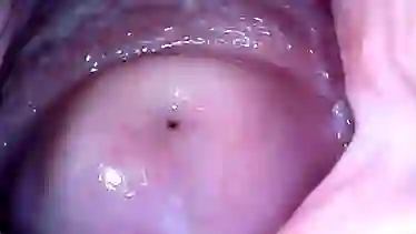 cam in mouth vagina and ass